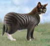 Morphcat.png